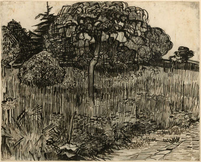 Vincent van Gogh : Arbre pleureur
