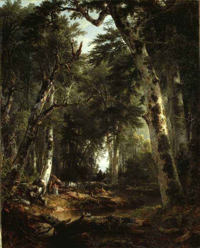 Asher Brown Durand : Dans les bois