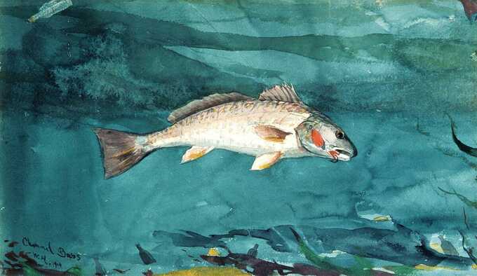 Winslow Homer : Basse de canal