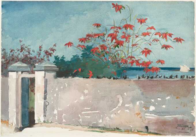 Winslow Homer : Un mur, Nassau