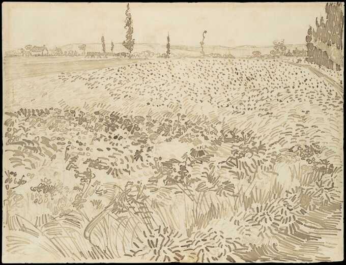 Vincent van Gogh : Champ de blé