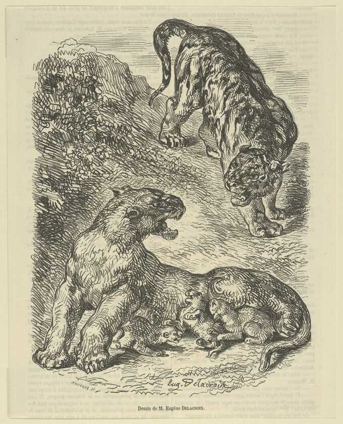 Eugène Delacroix : Tigresse attaquée par un tigre pendant qu'elle allaite son petit