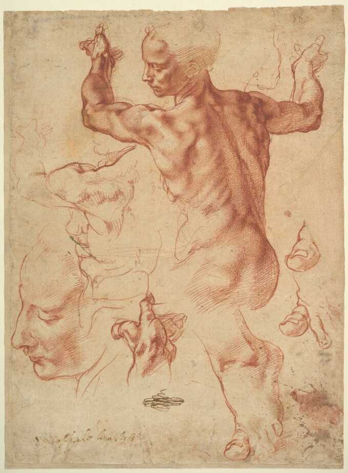 Michelangelo Buonarroti : Études pour la Sibylle libyenne (recto) ; Études pour la Sibylle libyenne et un petit croquis pour un personnage assis (verso)