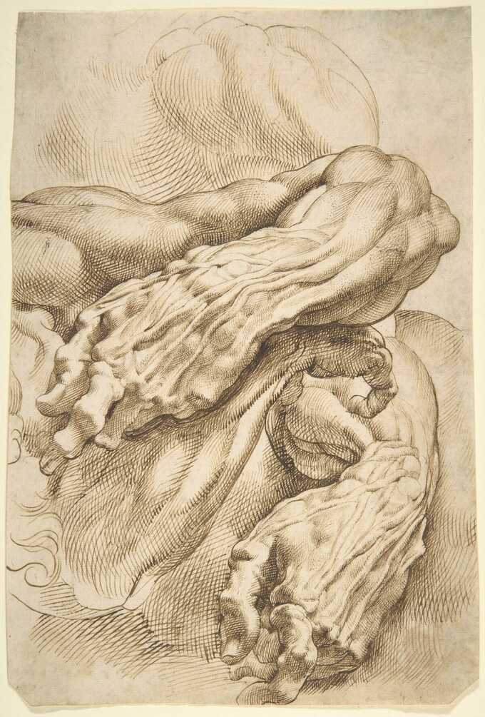 Peter Paul Rubens : Études anatomiques : un avant-bras gauche dans deux positions et un avant-bras droit