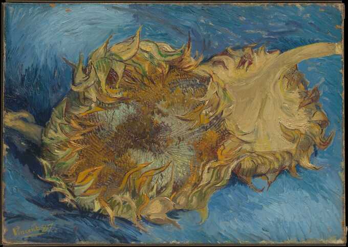 Vincent van Gogh : Tournesols