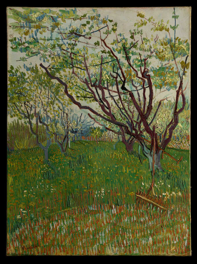 Vincent van Gogh : Le verger fleuri