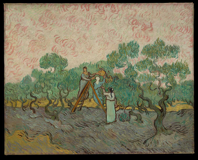 Vincent van Gogh : Femmes cueillant des olives