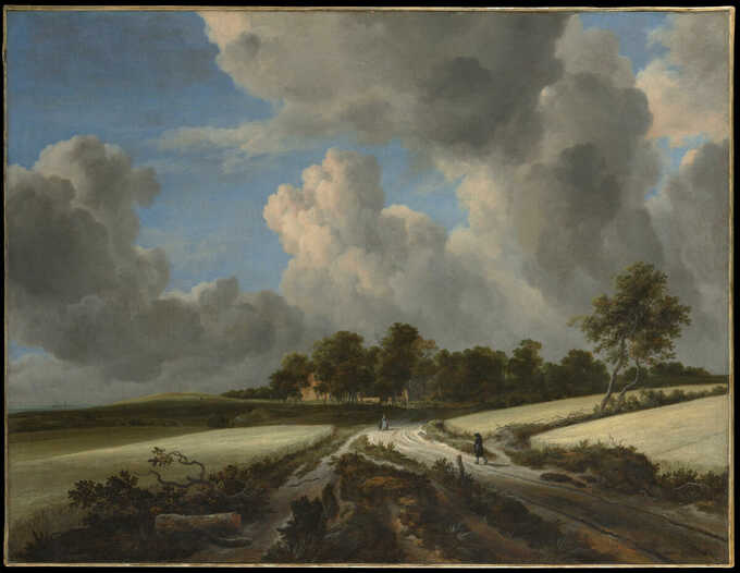 Jacob van Ruisdael : Champs de blé