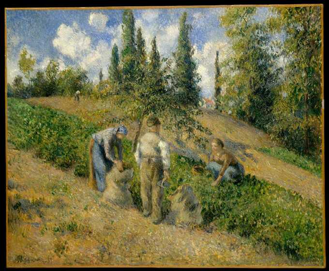 Camille Pissarro : The Harvest, Pontoise (La Récolte, Pontoise)