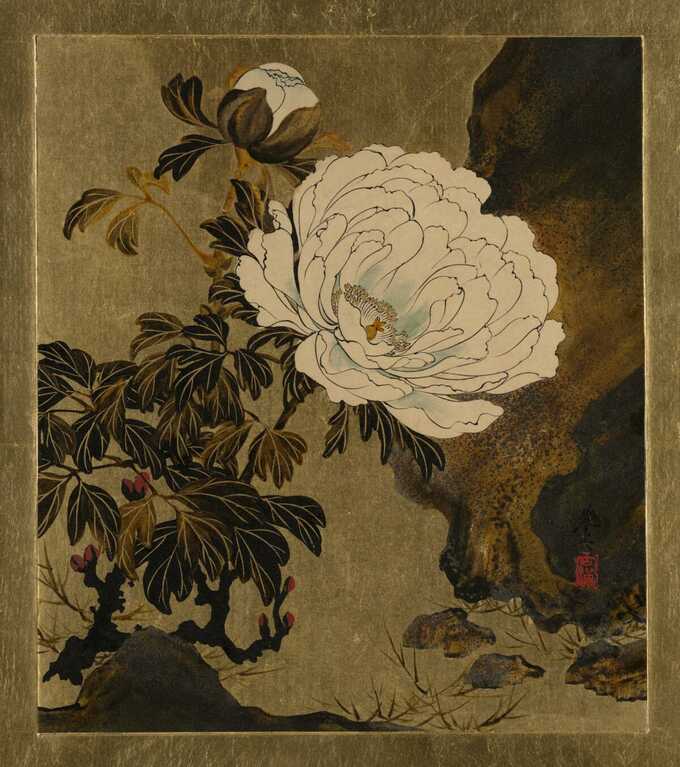 Shibata Zeshin : Peintures à la laque de divers sujets : Pivoines