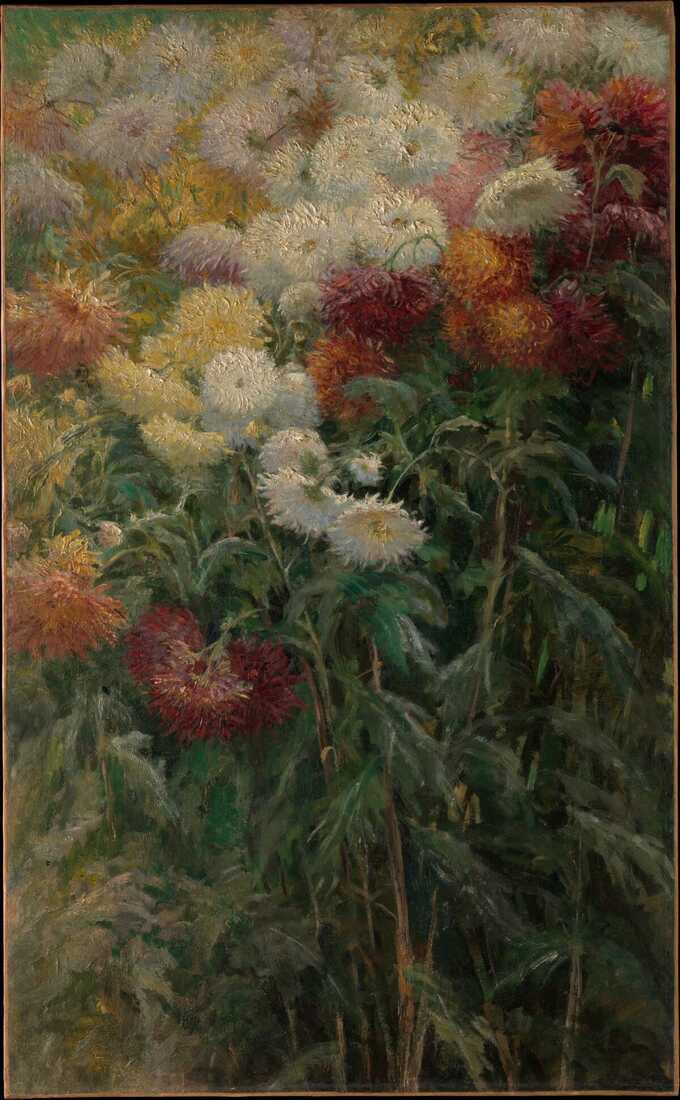 Gustave Caillebotte : Chrysanthèmes au jardin du Petit-Gennevilliers