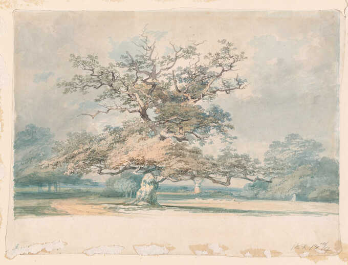 Joseph Mallord William Turner : Un paysage avec un vieux chêne (ou hêtre)