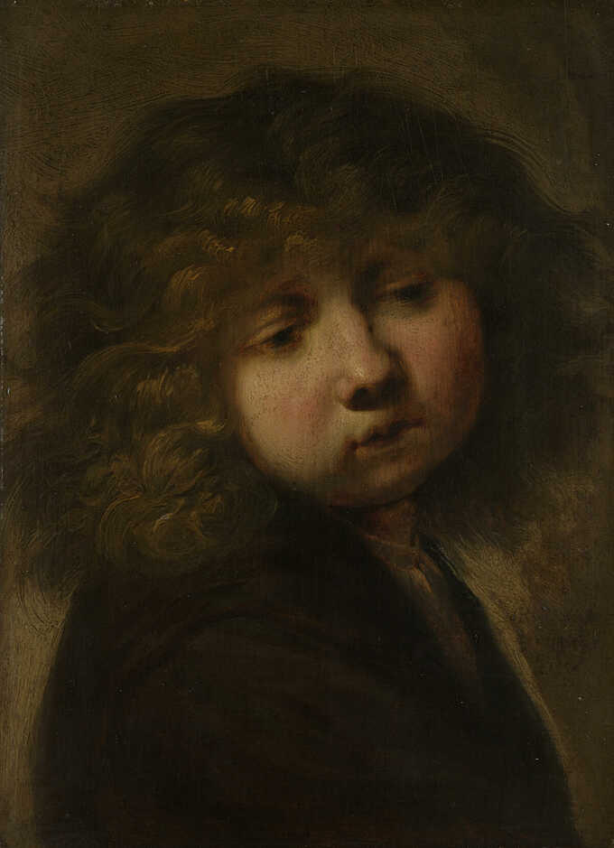 Rembrandt van Rijn : Tête de garçon