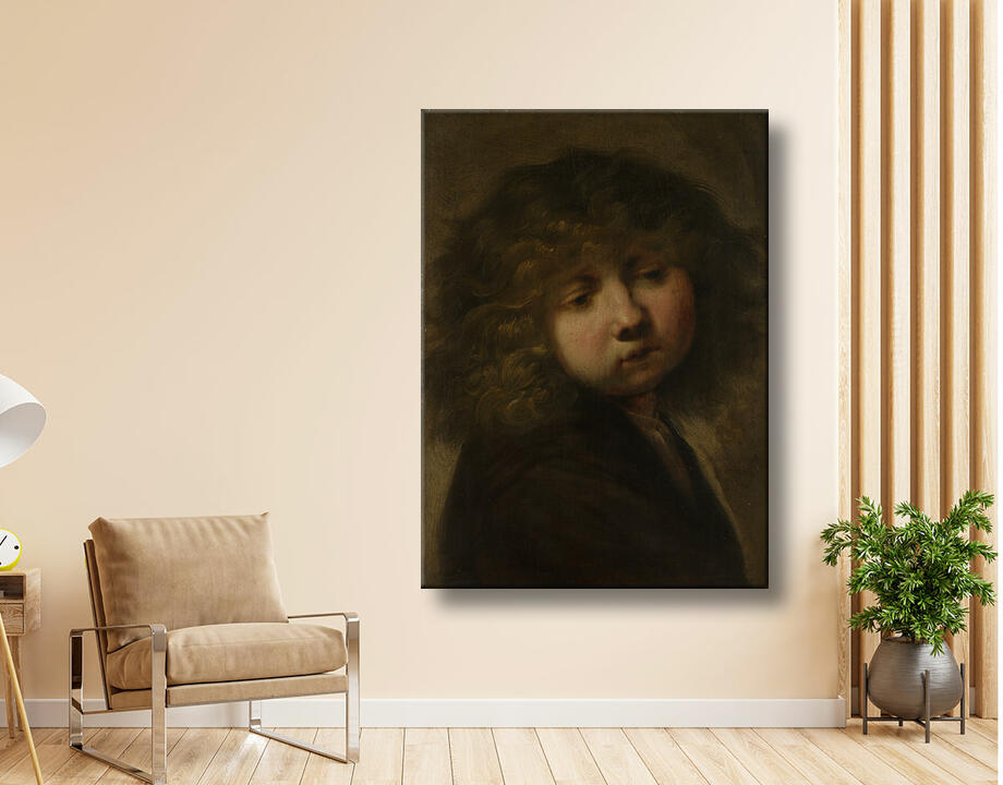 Rembrandt van Rijn : Tête de garçon
