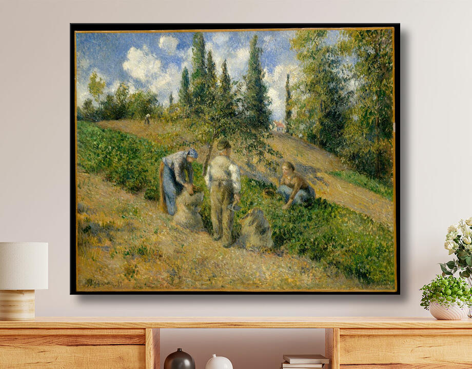Camille Pissarro : The Harvest, Pontoise (La Récolte, Pontoise)