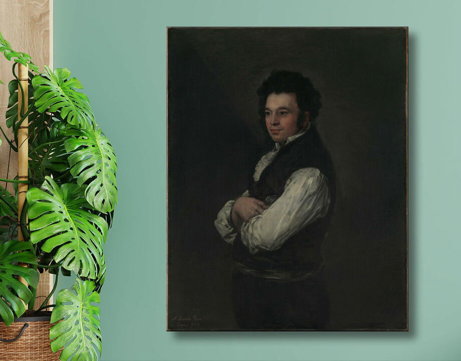 Goya (Francisco de Goya y Lucientes) : Tiburcio Pérez y Cuervo (1785/86–1841), l