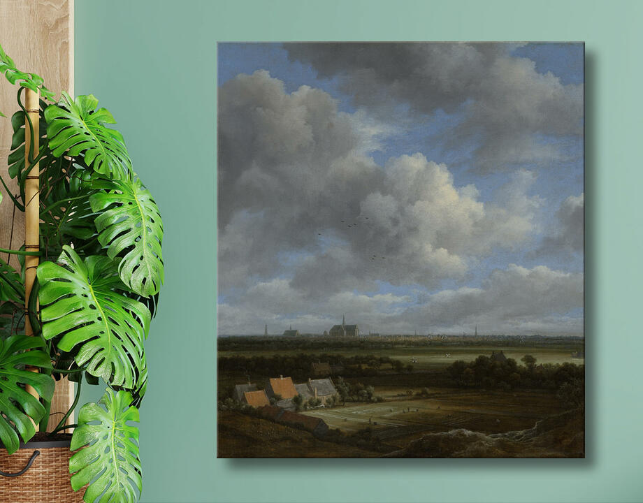 Jacob Isaacksz van Ruisdael : Vue de Haarlem depuis le nord-ouest, avec les champs de blanchiment au premier plan