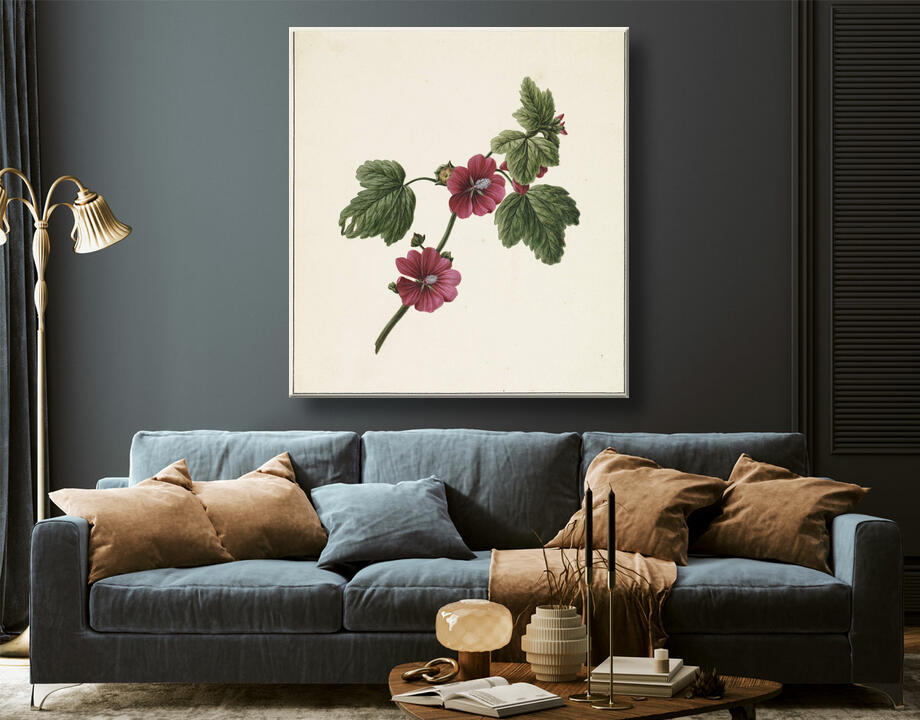 M. de Gijselaar : Branche avec fleurs violettes
